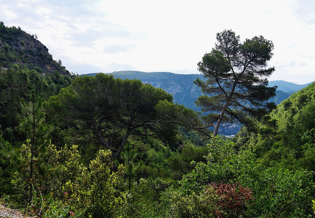 Abris de piscine Alpes-Maritimes