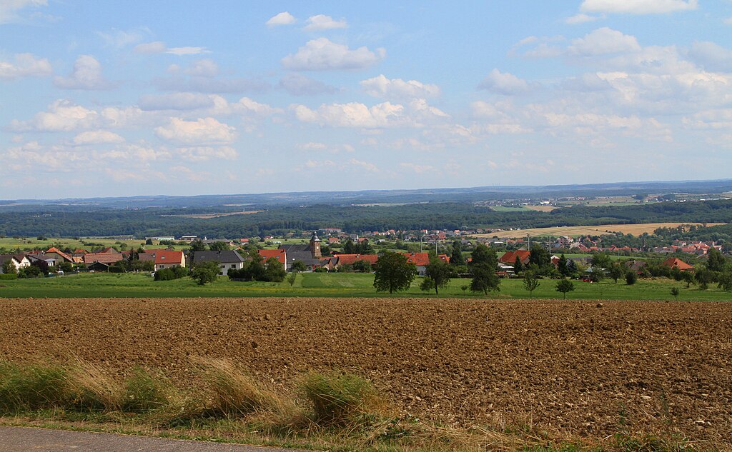 Abris de piscine Moselle