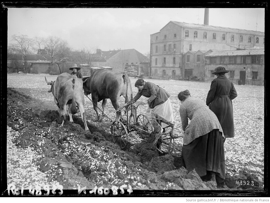 Abris de piscine Val-de-Marne