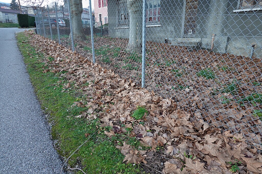 Abris de piscine Bellegarde-sur-Valserine