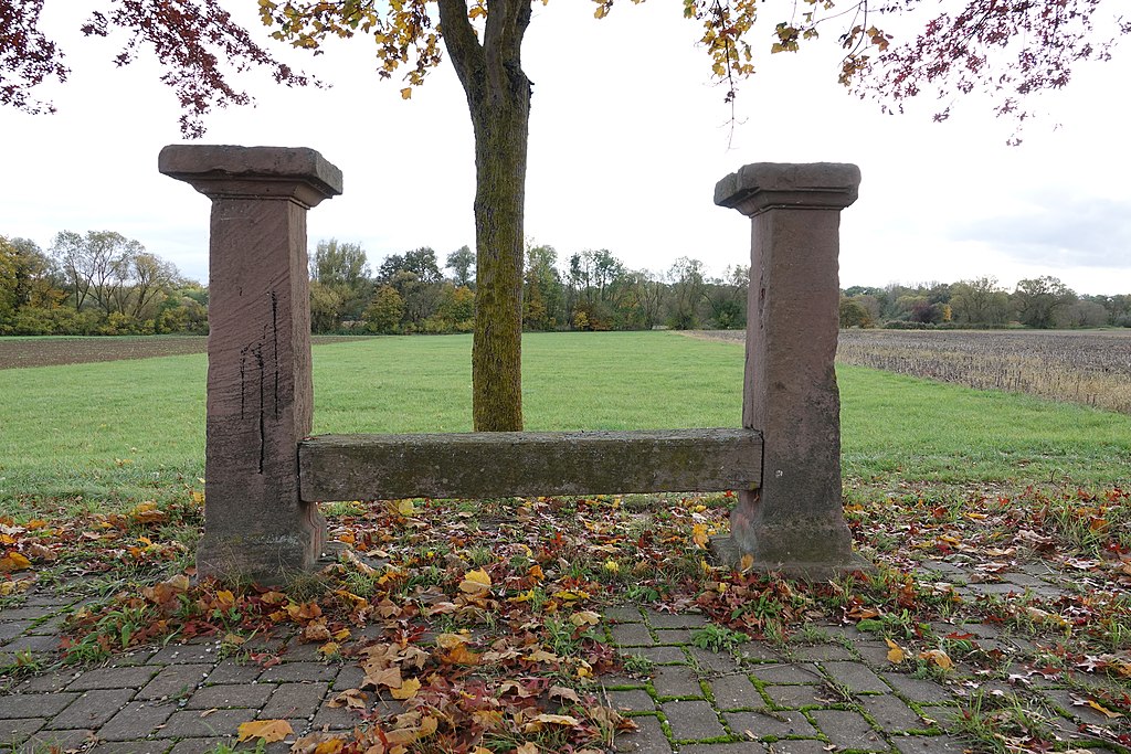 Abris de piscine Sélestat