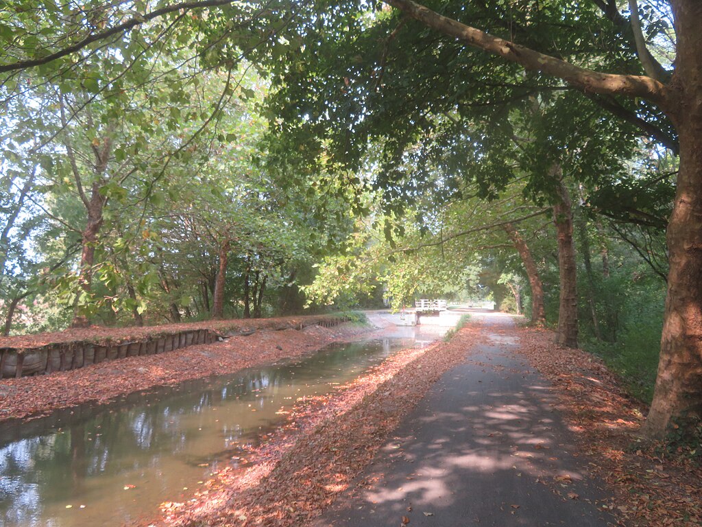 Abris de piscine Vierzon