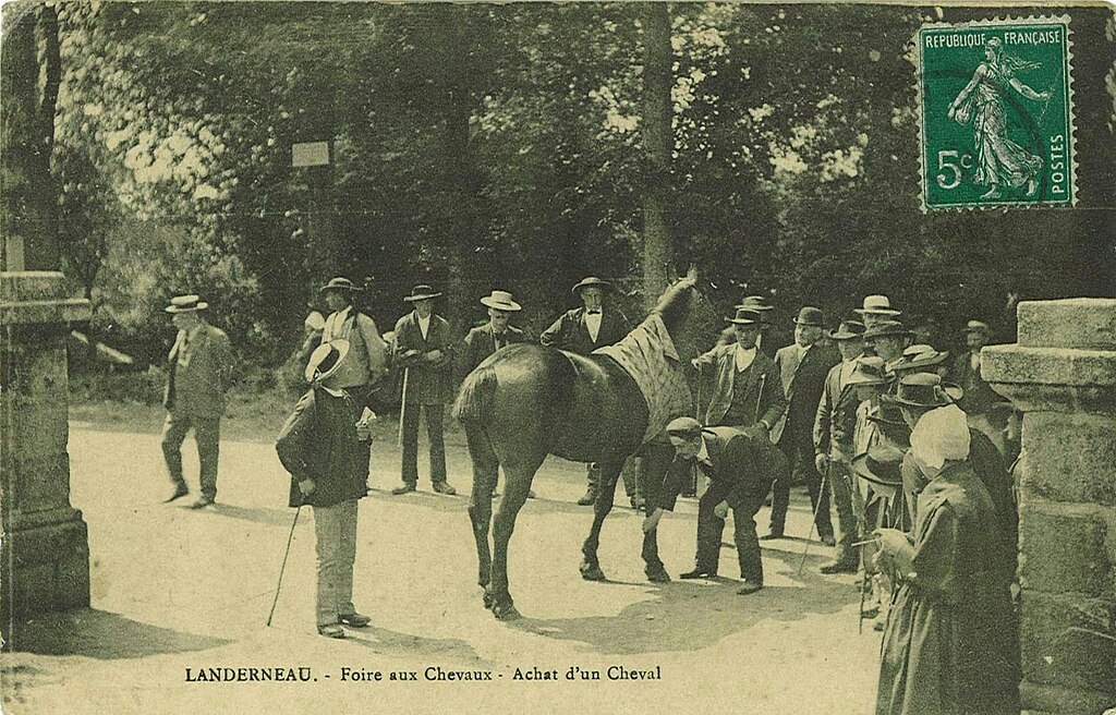 Abris de piscine Landerneau