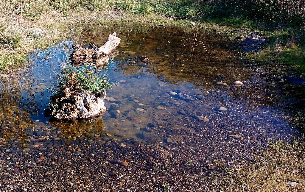 Abris de piscine Wittenheim