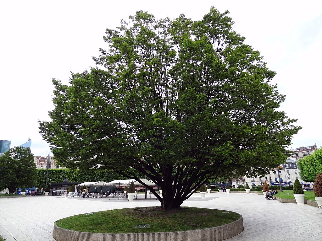 Abris de piscine Puteaux