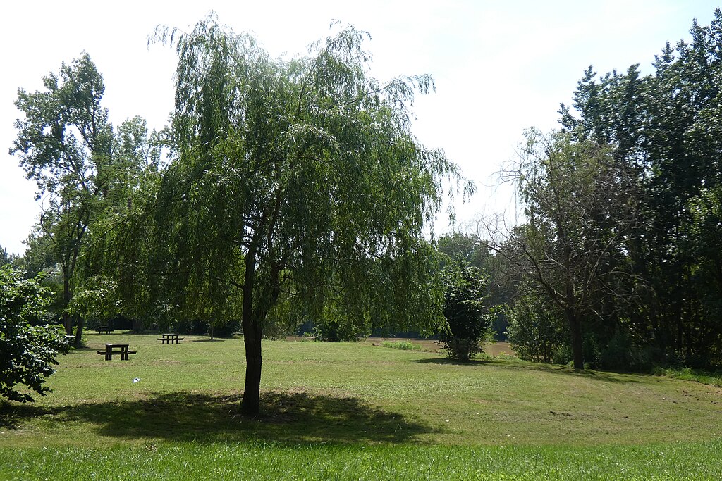 Abris de piscine Marmande