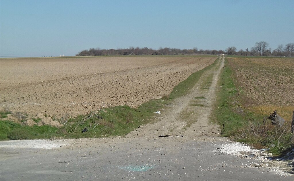 Abris de piscine Gonesse